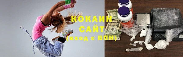 молекула духа Лабытнанги