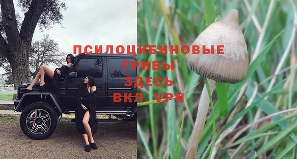 молекула духа Лабытнанги