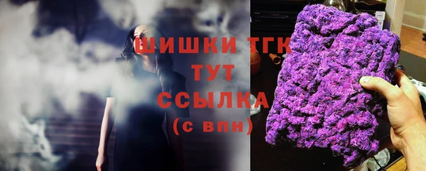 соль ск Лагань