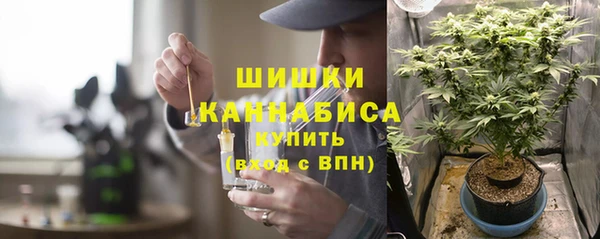 молекула духа Лабытнанги