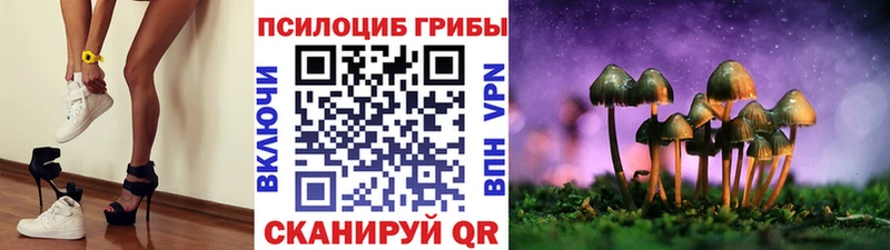Купить где  Баймак  Псилоцибиновые грибы Cubensis 